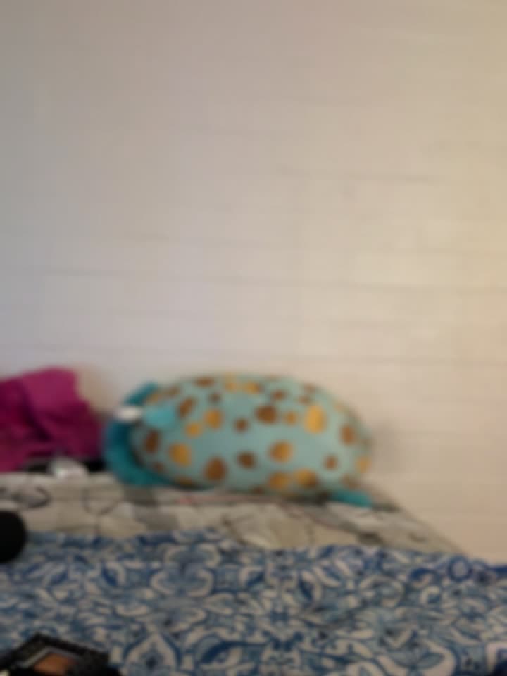 foxy_ana13 cam recording